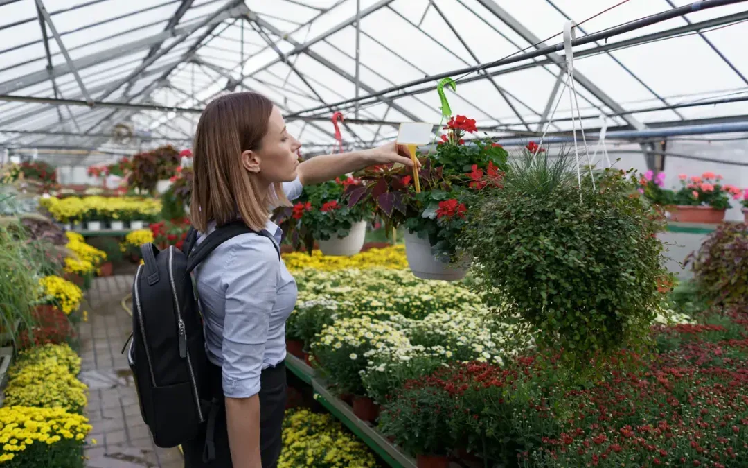 How Much Do Conservatories Cost? 