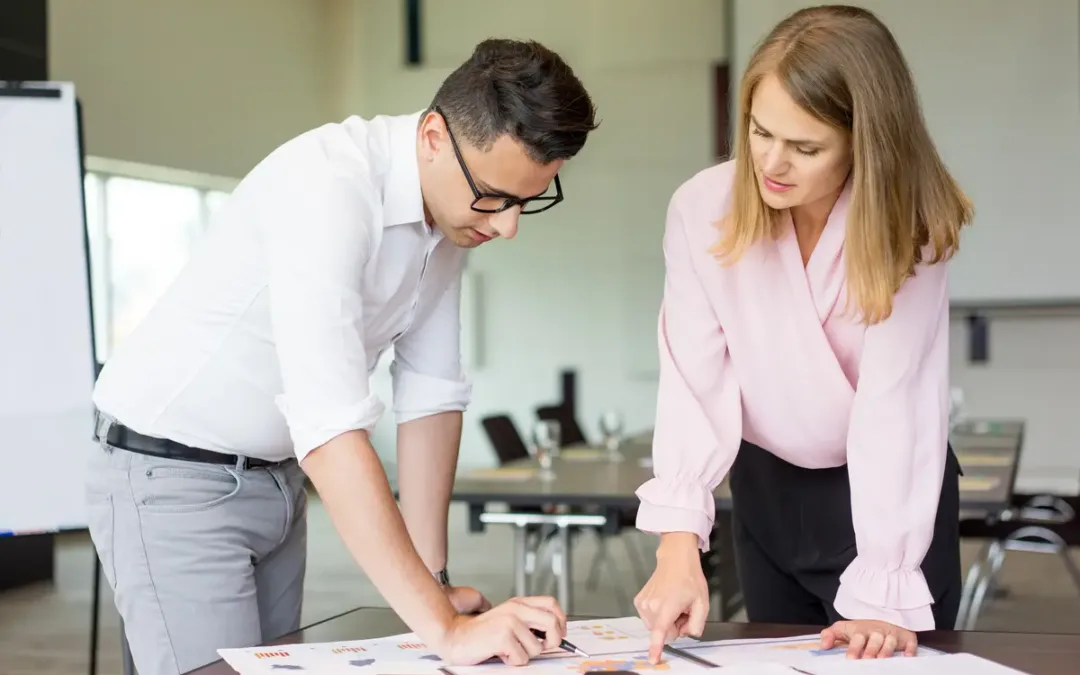 What Is a Planning Consultant?